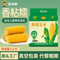 玉小胖2026玉米新鲜糯玉米黄糯8根1.6kg