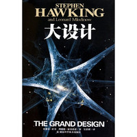 《大设计》