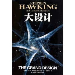 《大设计》