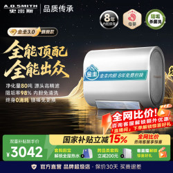 A.O.SMITH 双胆免换镁棒 电热水器  3000W 60L
