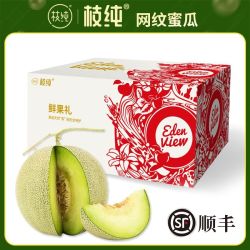 枝纯 网纹蜜瓜冰淇淋甜瓜应当季新鲜水果3斤香瓜蜜瓜顺丰彩箱
