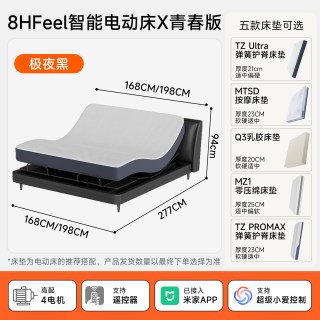 8H 智能电动床DTP1软靠背款卧室双调节多功能双人床1.8米家用