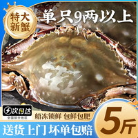 鲜喜利 梭子蟹鲜活特大野生舟山大螃蟹海鲜新鲜冷冻海蟹水产飞蟹白蟹 9两以上/只  9两以上/只