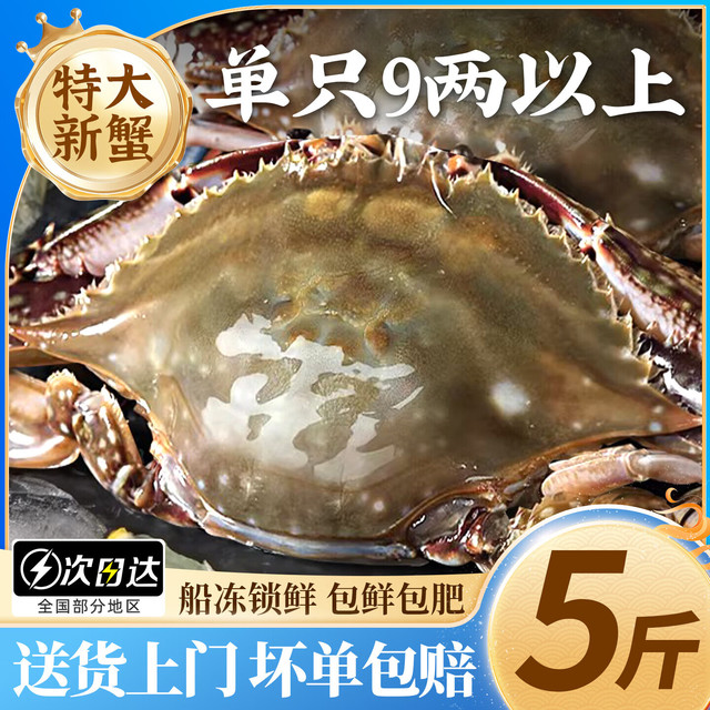 鲜喜利 梭子蟹鲜活特大野生舟山大螃蟹海鲜新鲜冷冻海蟹水产飞蟹白蟹 9两以上/只  9两以上/只