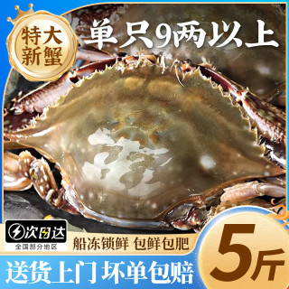 鲜喜利 梭子蟹鲜活特大野生舟山大螃蟹海鲜新鲜冷冻海蟹水产飞蟹白蟹 9两以上/只  9两以上/只