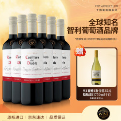 红魔鬼 智利原瓶干红葡萄酒高性价比红酒 佳美娜干红750ml*6整箱装