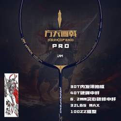 JNM 方天画戟pro羽毛球拍内发泡全碳素40T高磅进攻型运动球拍