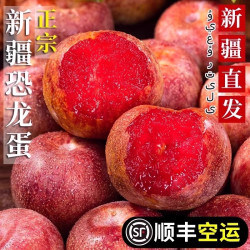 正宗特级新疆阿克苏恐龙蛋李子当季新鲜现摘时令水果