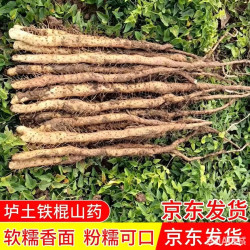 焦作温县垆土铁棍铁棍山药怀山药3斤起口感软糯粉面