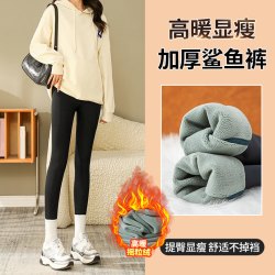 两条装恒温万粒绒加厚瑜伽裤山茶花鲨鱼裤高腰显瘦