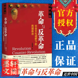 社会文化视野下的民国政治 王奇生 著