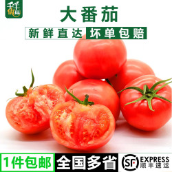 千牛优福 新鲜大番茄水果西红柿5斤 生吃自然熟沙瓤粉蔬菜水果顺丰