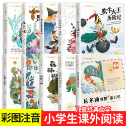 国际大奖小说注音版小学生儿童文学系列故事书6-12周岁阅读