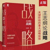 王志纲论战略:关键阶段的重大抉择 大国大民作者 企业管理书籍