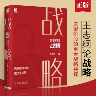 王志纲论战略:关键阶段的重大抉择 大国大民作者 企业管理书籍