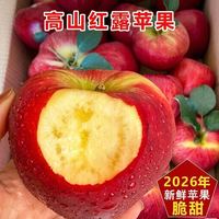 带箱5斤正宗云南昭通红露小苹果当季新鲜自然果香脆甜糖心包邮