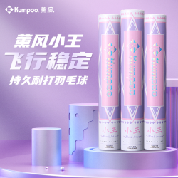 KUMPOO 熏风小王羽毛球新款天然鹅毛超耐打稳定不易打烂训练用球薰风正品