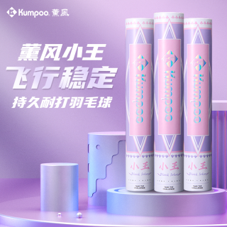 KUMPOO 熏风小王羽毛球新款天然鹅毛超耐打稳定不易打烂训练用球薰风正品