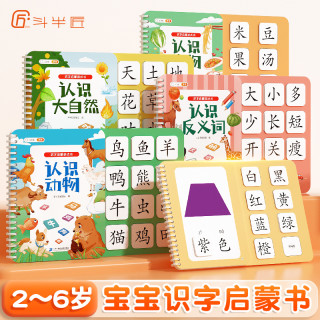 斗半匠认识汉字启蒙游戏书适用2-6岁幼儿园早教学前认字卡