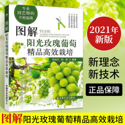 图解阳光玫瑰葡萄高效栽培合理种植技术大全书籍农业大棚种植水果
