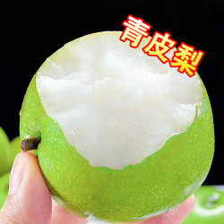 纪氏家园 砀山青皮蜜梨脆甜无渣汁水新鲜水果梨砀山脆甜梨5斤脆甜多汁