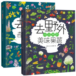 书籍中国2册去野外看路边的恐龙吃田间的美味果蔬儿童彩绘绘本