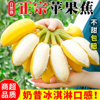 广西苹果蕉树熟芭蕉新鲜现摘软糯香甜果园直发包邮