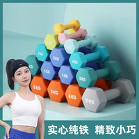 纯铁小哑铃健身器材六角实心彩色磨砂家用塑形锻炼
