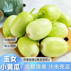 山东玉女小黄瓜3斤淡甜清爽 汁水充足