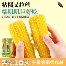 东北2025新季-黄糯玉米260g-320g*10根香甜软糯