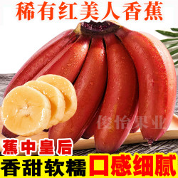 俊怡 广西红美人香蕉稀有水果时令新鲜自然成熟咖啡蕉芭蕉2/3/5斤