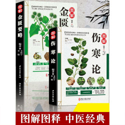 伤寒论金匮要略白话精解 中医药经典著作 中国传统生命科学
