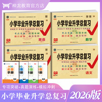 2026版小学毕业升学总复习语文数学英语真题卷专项练小升初模拟题