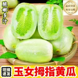 d山东玉女拇指小黄瓜脆嫩清爽多汁当季时令水果