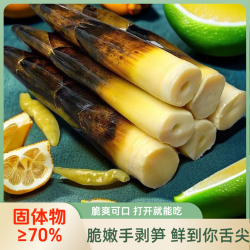 脆嫩手剥笋500g/包杭州天目竹笋开袋即食3个口味