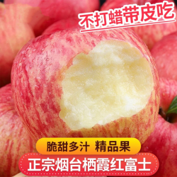 山东烟台栖霞红富士苹果新鲜红富士苹果水果
