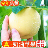 江畔寻果 山东奶油富士苹果4.5斤中果/大果应季水果现摘现发