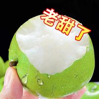 纪氏家园 砀山青皮蜜梨脆甜无渣汁水新鲜水果梨砀山脆甜梨脆甜多汁