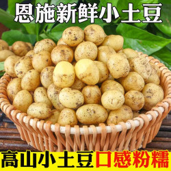 恩施小土豆现挖新鲜黄心土豆3/9斤迷你马铃薯洋芋