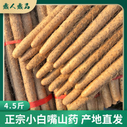 蠡人蠡品 河北蠡县小白嘴山药新鲜原产地现发4.5斤团