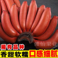 俊怡 广西红美人香蕉红皮香蕉甜新鲜水果非苹果蕉红蕉2-9斤