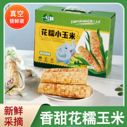 云南西双版纳香糯小玉米甜糯真空包装迷你新鲜糯粘玉米即食玉米棒