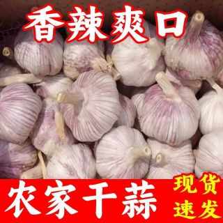 干蒜河南大蒜头白紫皮新鲜干蒜农家土蒜优质农产品产地直发批发