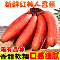 俊怡 广西红美人香蕉红香蕉 美人蕉红皮香蕉批发当季新鲜水果2/5/9斤