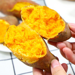 遇见美物 黄心蜜薯龙九蜜薯4.5斤软糯香甜沙地红薯粗粮美食