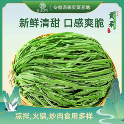 网红日晒贡菜安徽涡義贡菜火锅食材80克新鲜嘎嘣脆天然