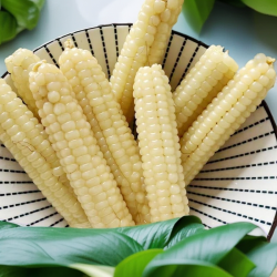 赛鲜者 云南西双版纳拇指玉米新鲜手指小玉米迷你现摘甜白糯宝宝玉米工厂