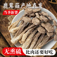 鹿茸菇干货500g/250g古田特产高山鹿茸菌新货脆脆菇美味脱水蔬菜
