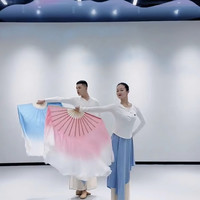 中国古典舞 现代舞中国舞飘逸仿真丝长款 舞蹈扇