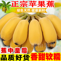 俊怡 正宗苹果小胖蕉新鲜水果广西苹果香蕉软糯香甜1-9斤应季水果